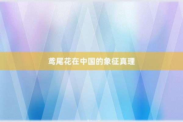 鸢尾花在中国的象征真理