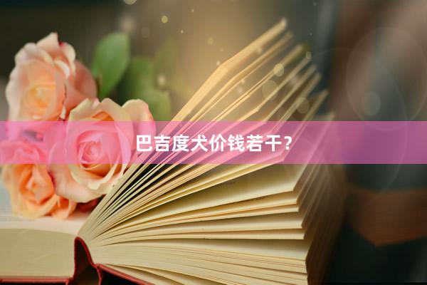 巴吉度犬价钱若干？
